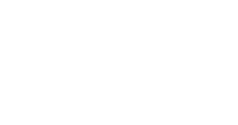 DHNET